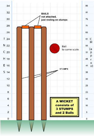 diagram of the wicket in cricket